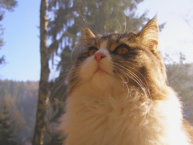 Foto: Jeff